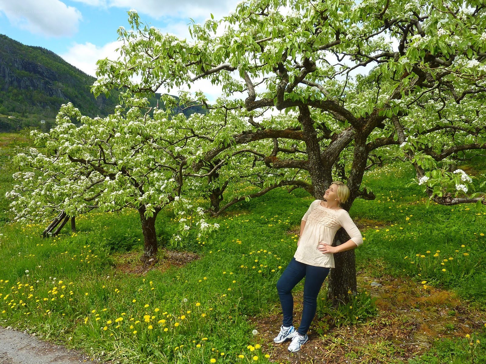 Woman under a blossoming tree