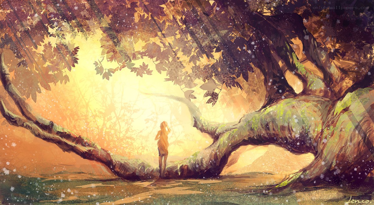 woman under a giant tree