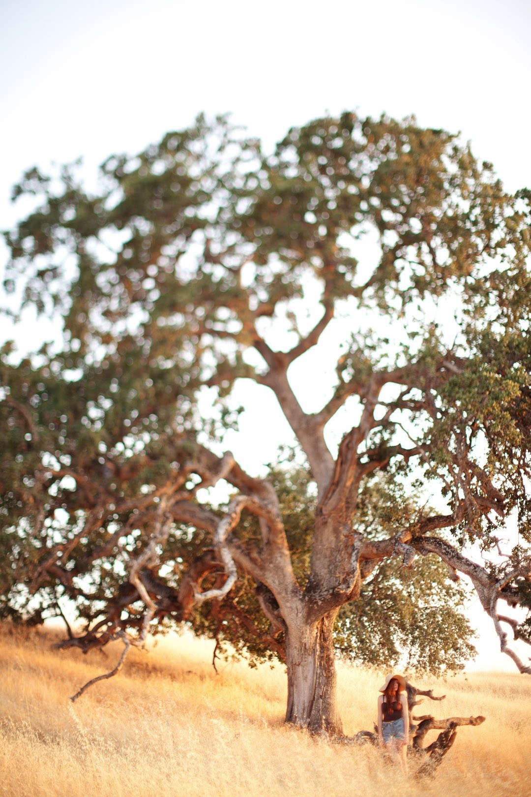 woman under a large tree