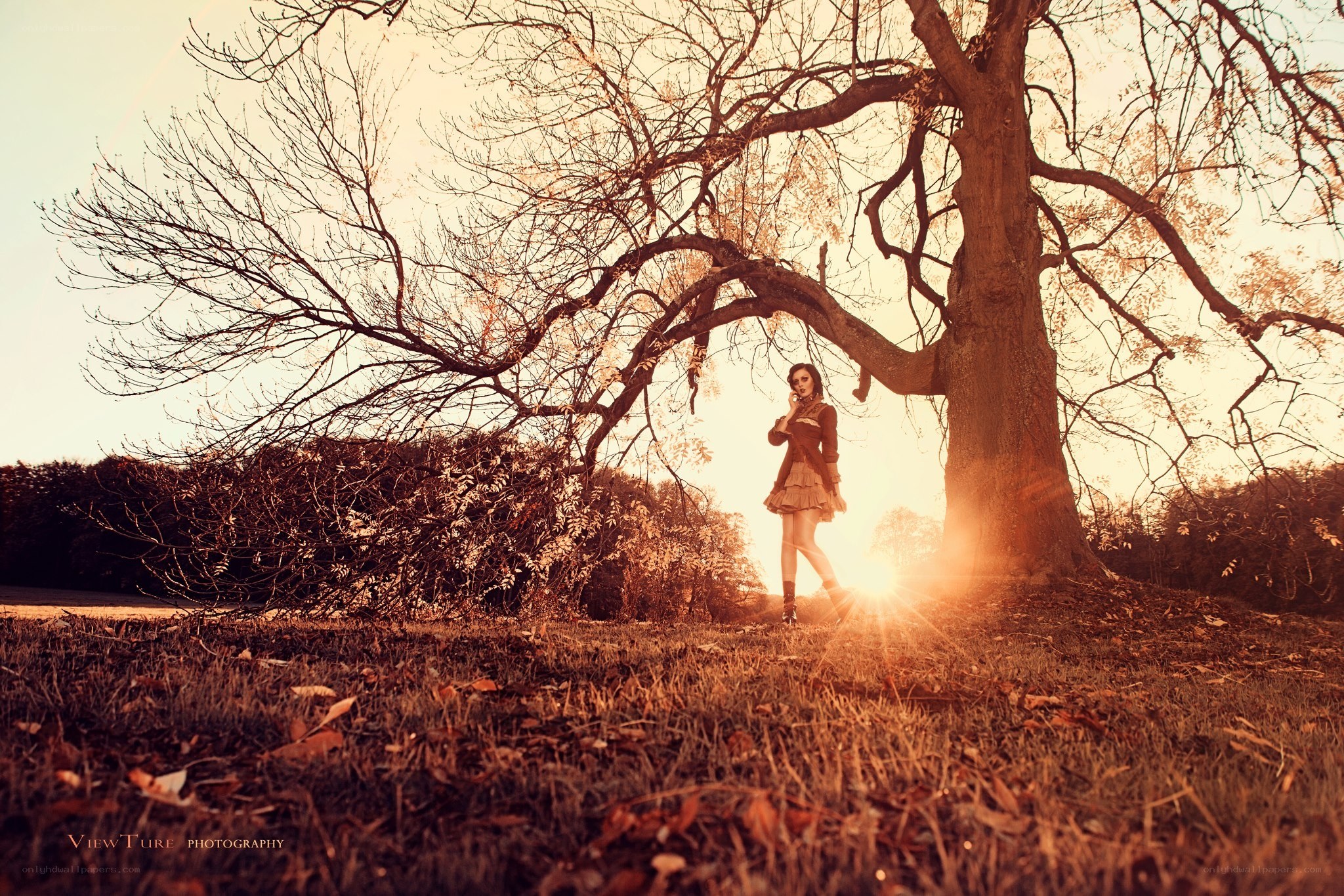 woman under a tree at sunset