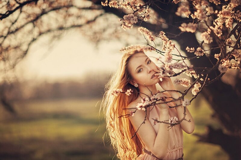 Woman under Blossoming Tree — Pink