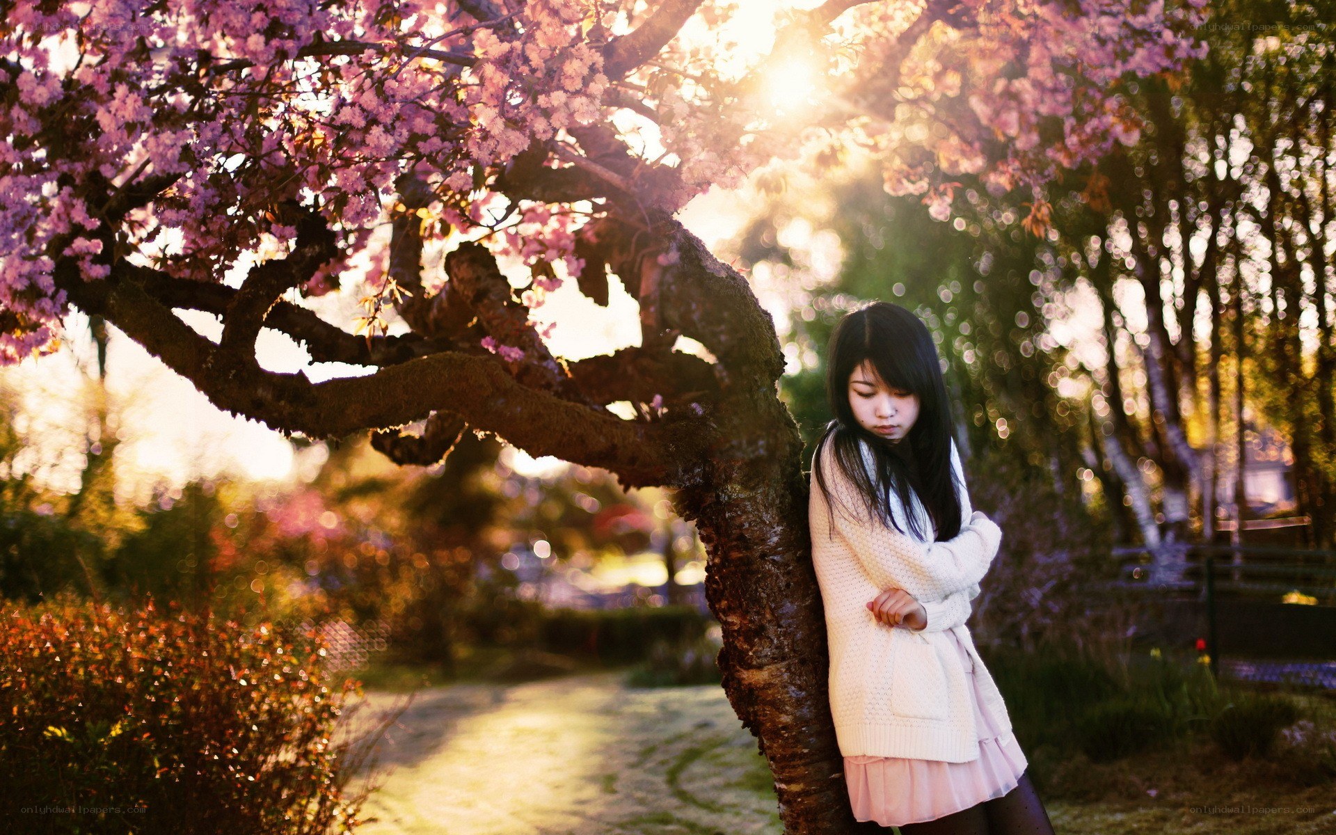 Woman under cherry blossom tree