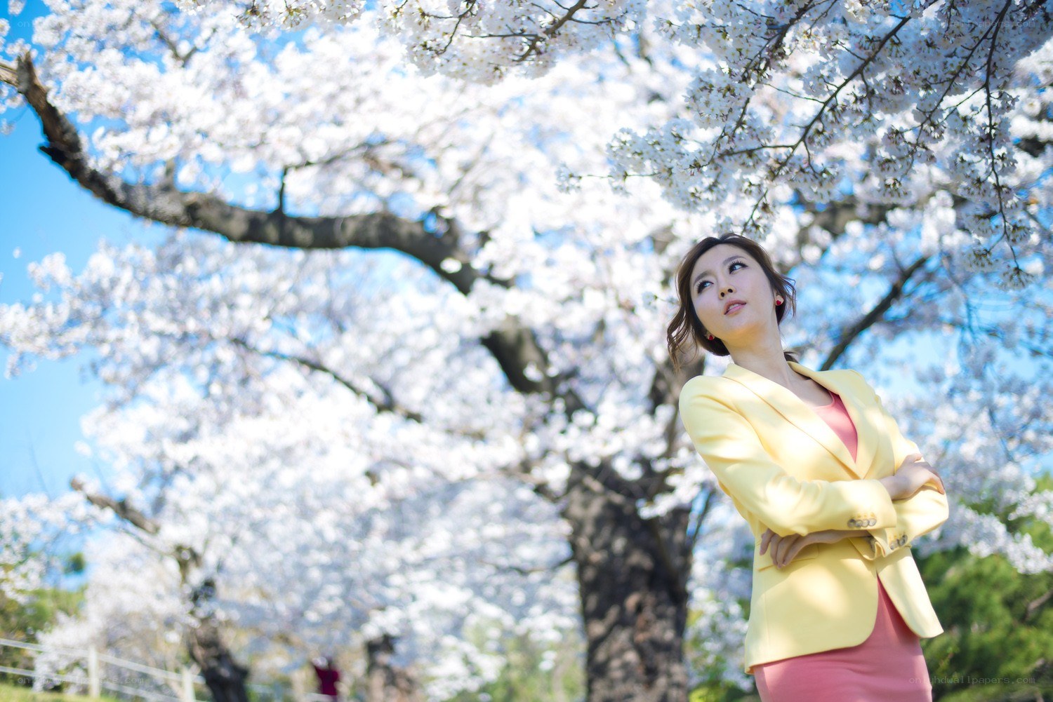Woman under cherry blossoms