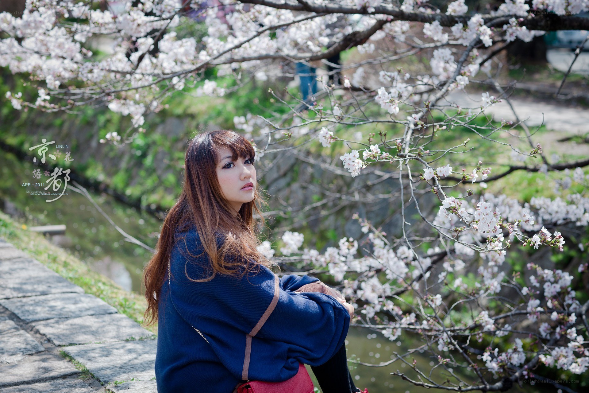 Woman under cherry blossoms