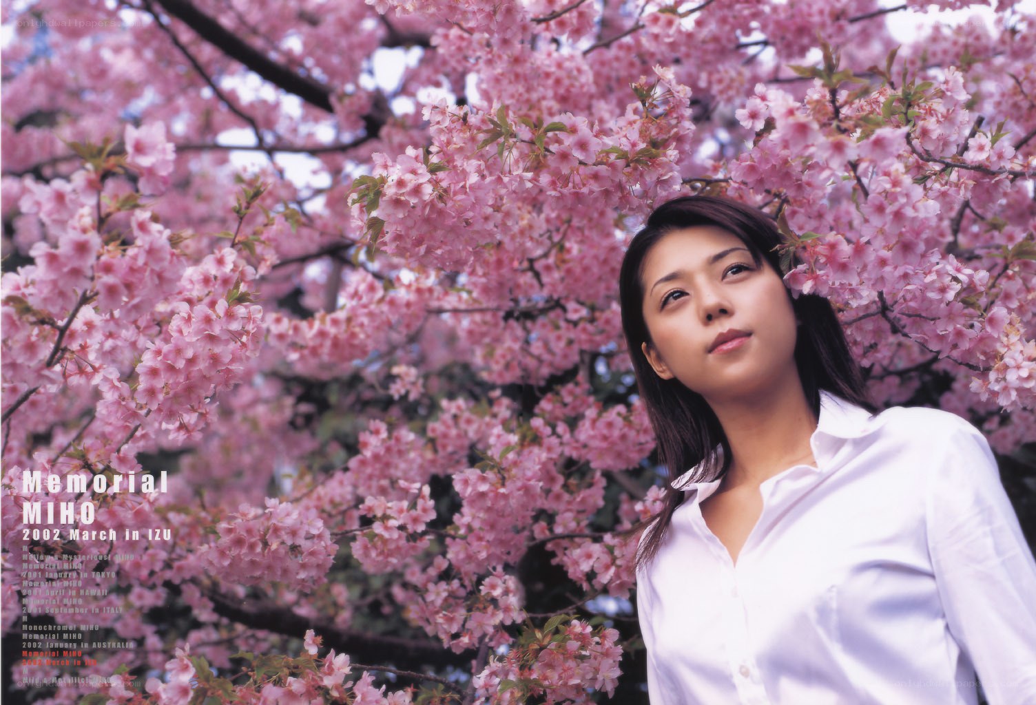 Woman under cherry blossoms