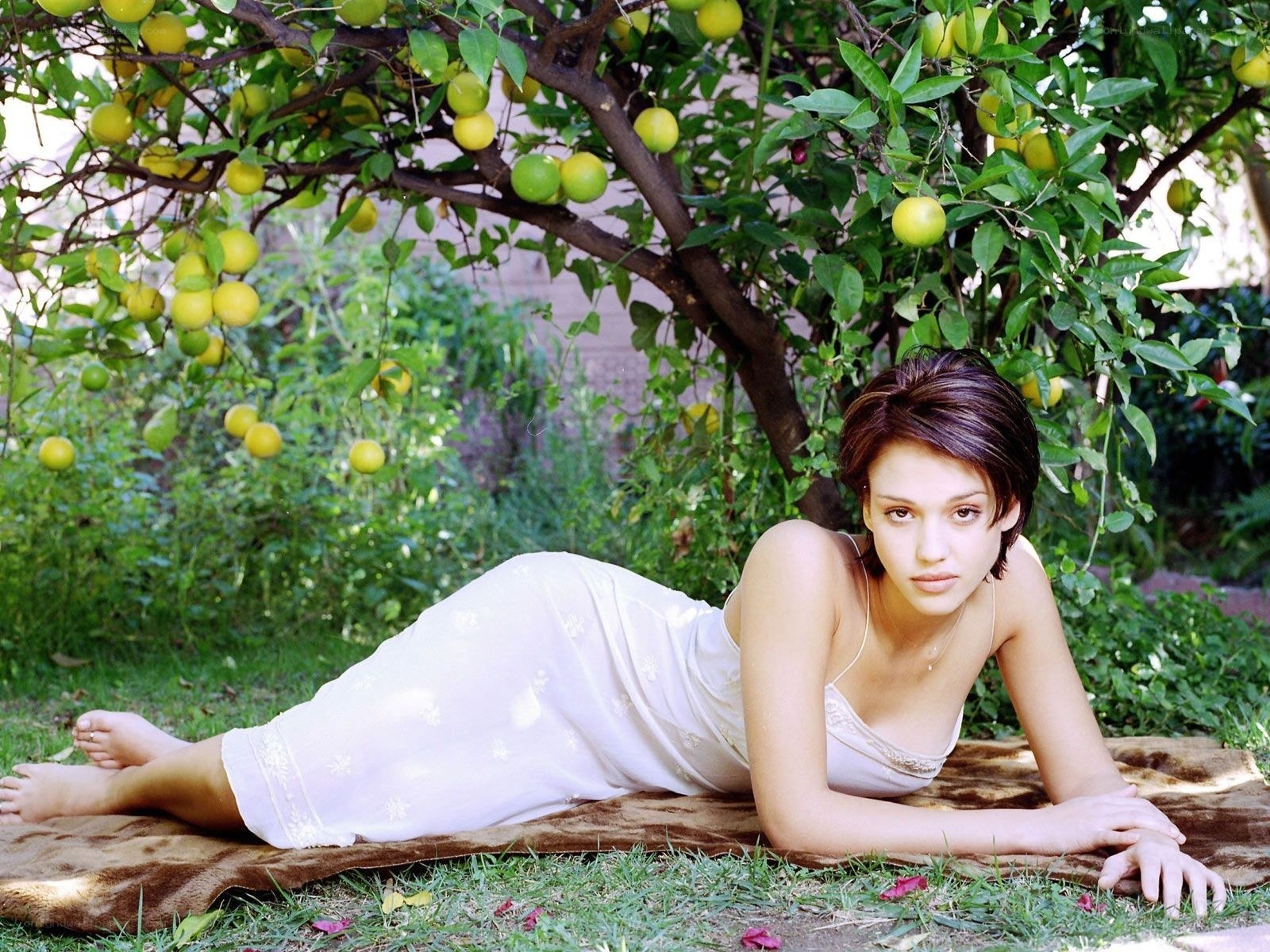 woman under lemon tree