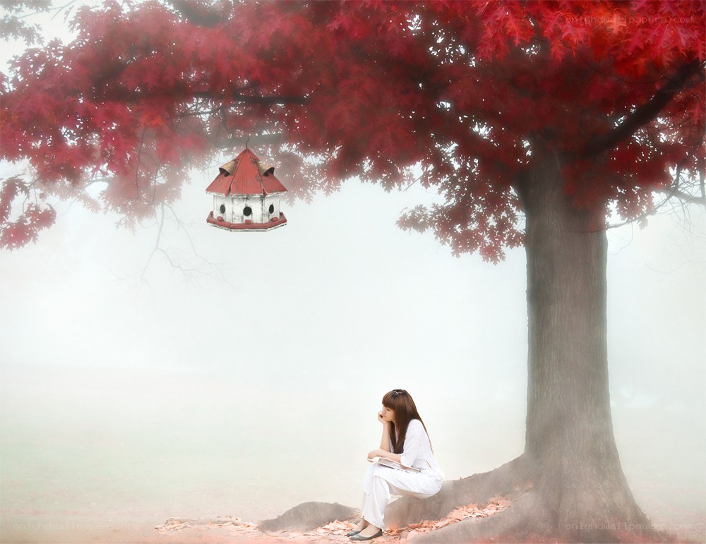 Woman under red tree