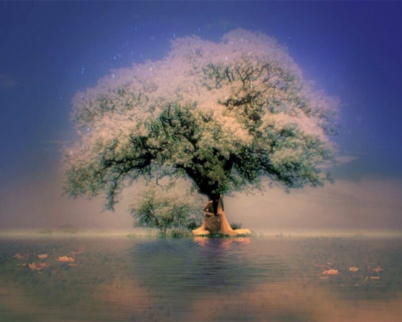 Woman under Tree — Blue