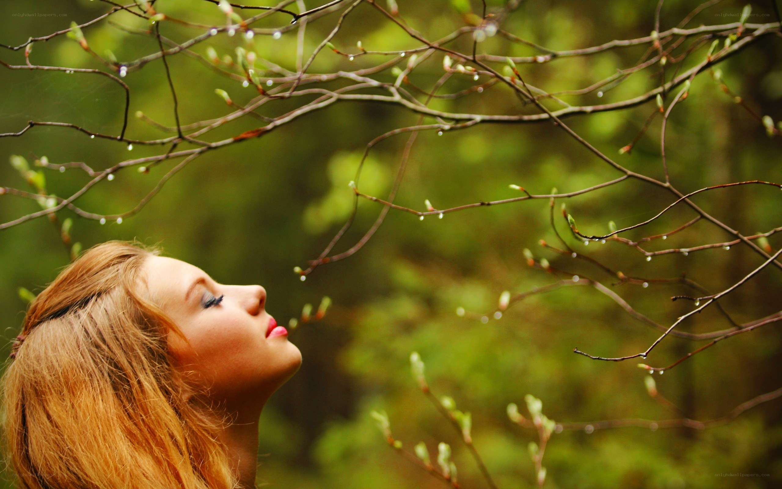 woman under tree branches