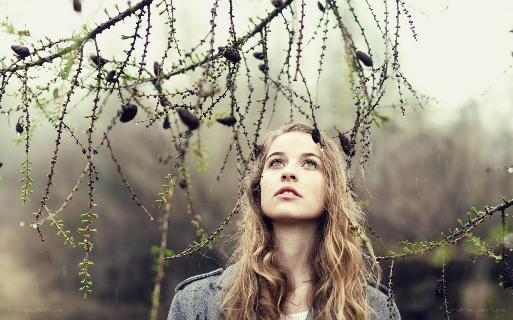 woman under tree branches