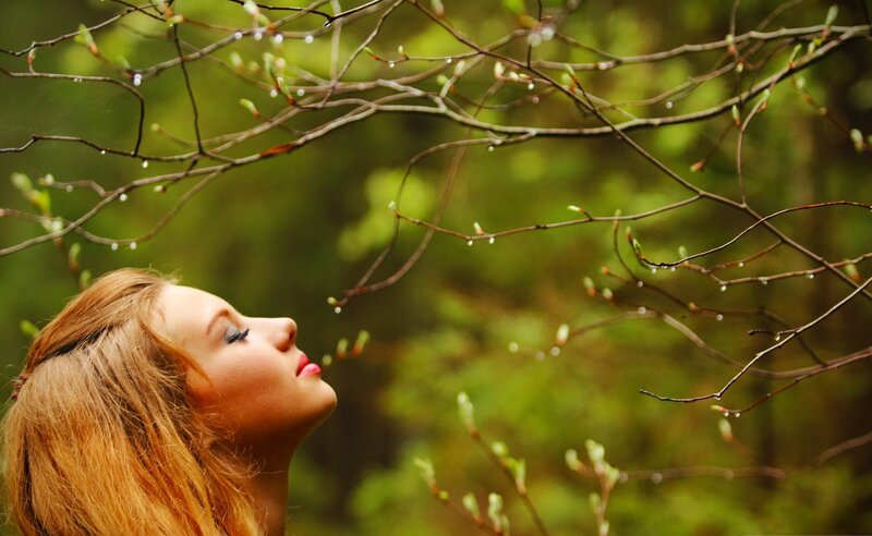 Woman under Tree Branches — Green, Serene, Spring