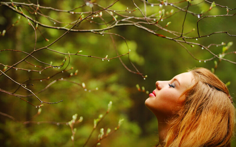 Woman under Tree Branches — Green, Serene