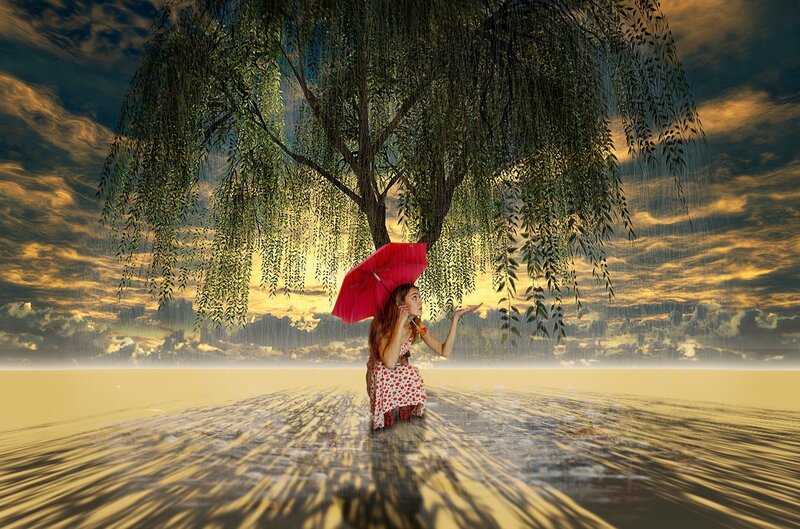 Woman under Willow Tree — Yellow, Dramatic