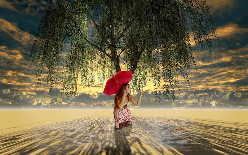 Woman under Willow Tree — Yellow