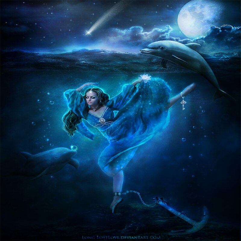 Woman Underwater with Dolphins