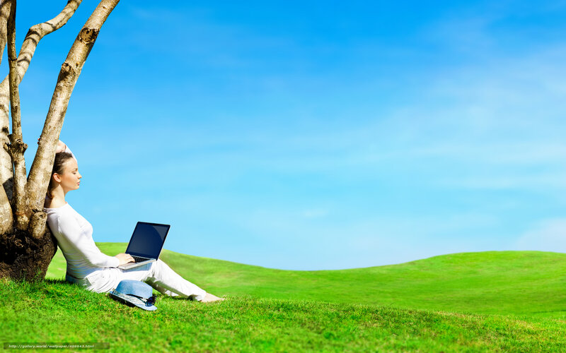 Woman using laptop in a field