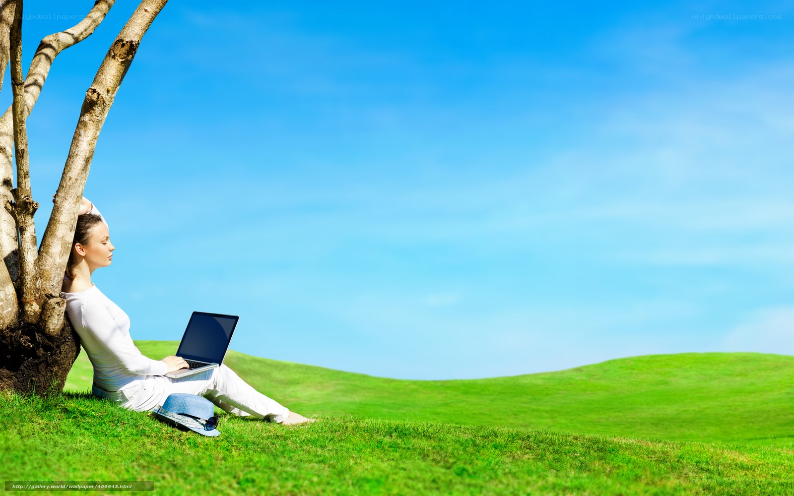Woman using laptop in a field