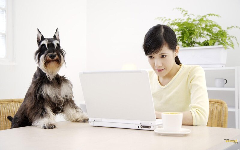 Woman Using Laptop with Dog