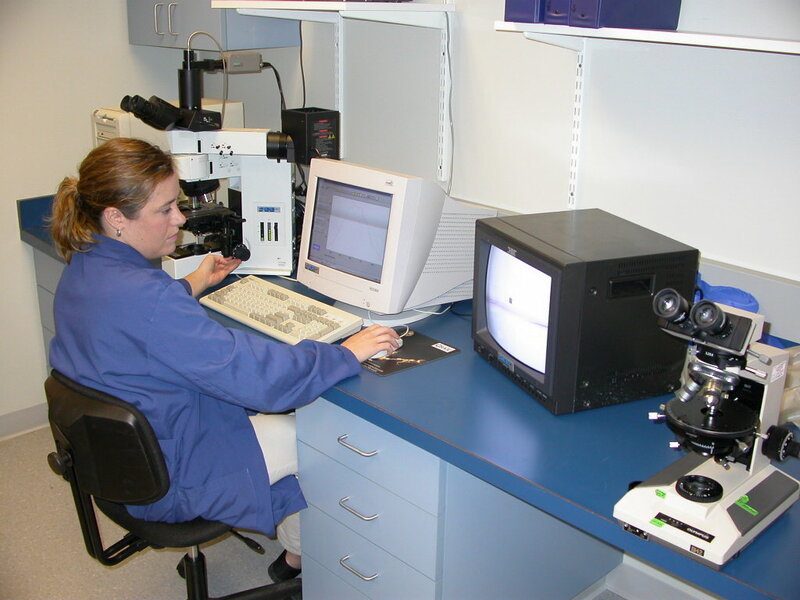Woman Using Microscope