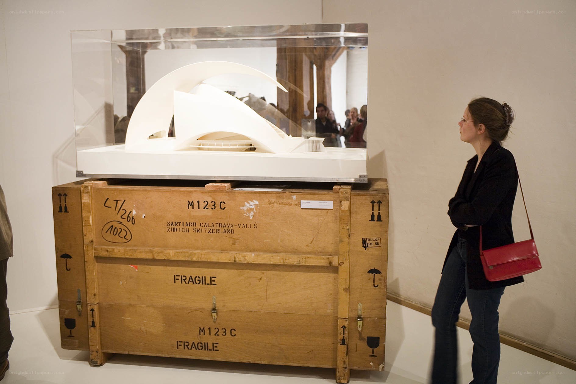 Woman viewing art exhibit
