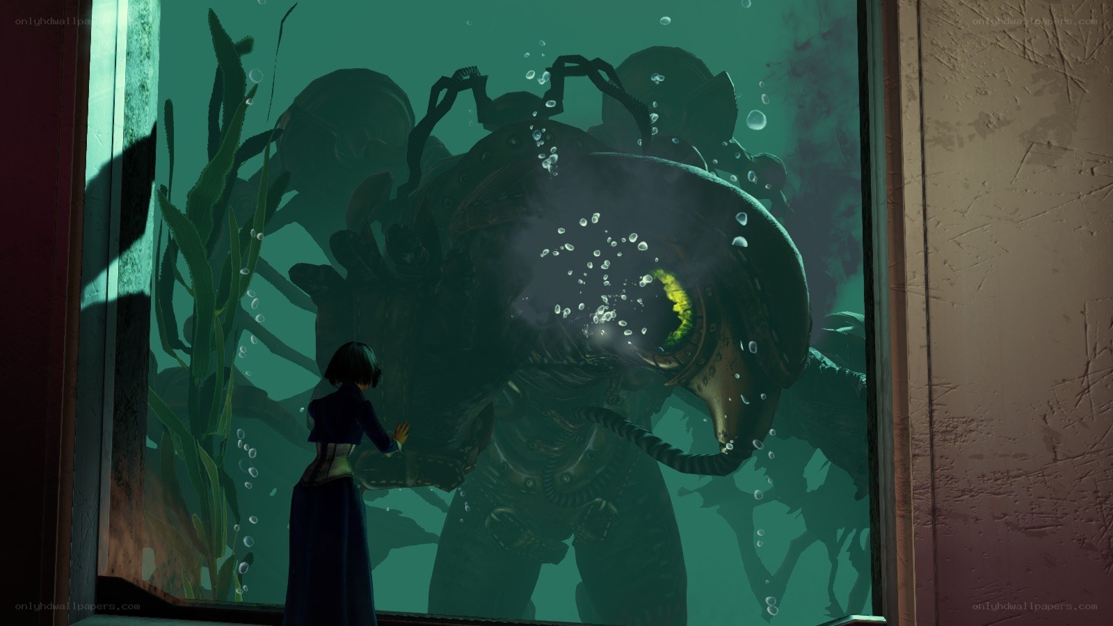 woman viewing sea creature