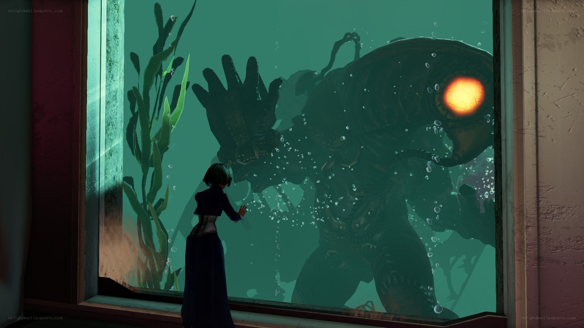 woman viewing sea creature