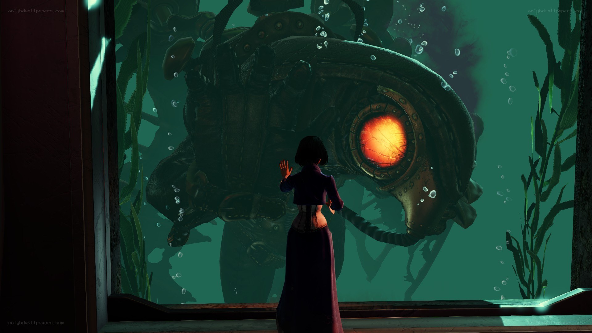 woman viewing sea creature