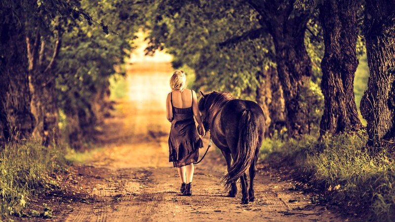 Woman Walking a Horse