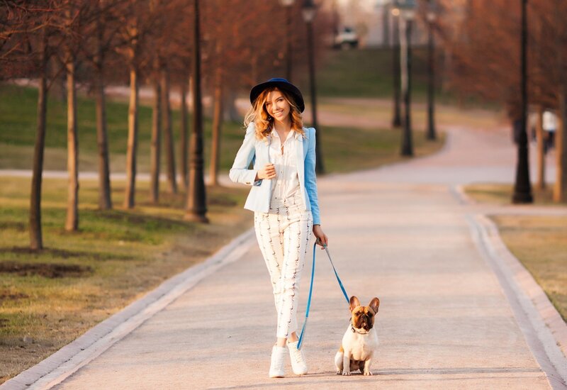 Woman Walking Dog — Blue, Calm, Sunset