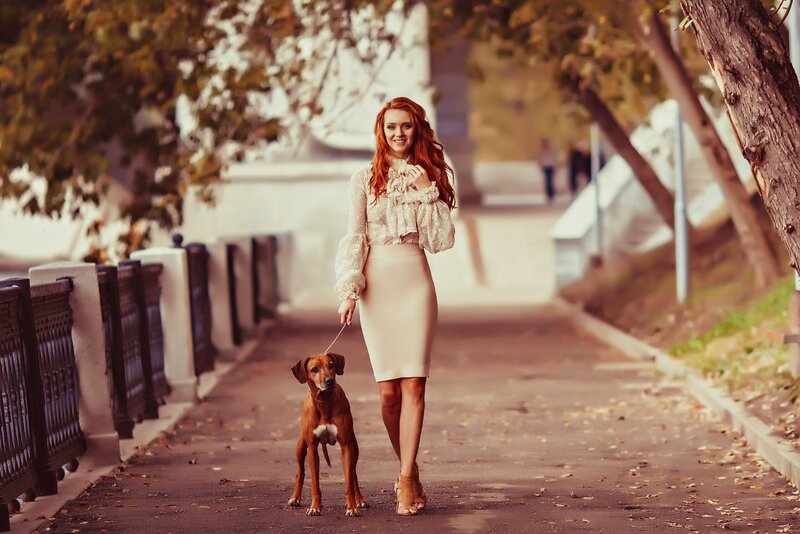 Woman Walking Dog — Brown, Calm