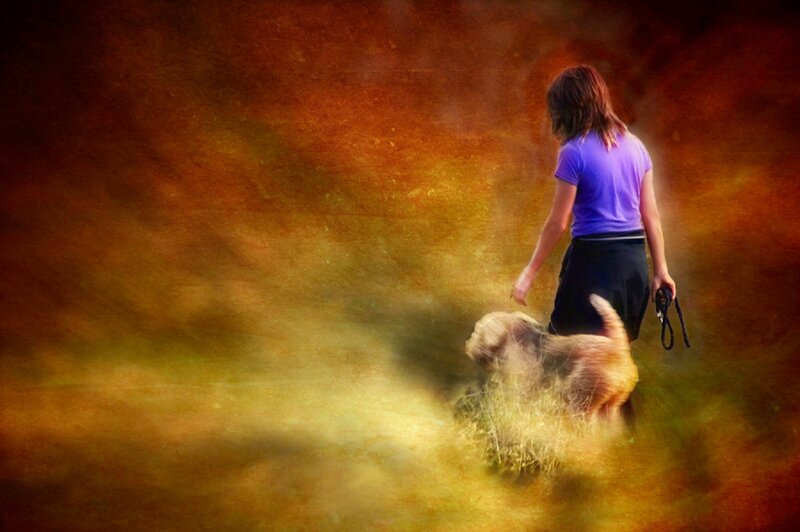 Woman Walking Dog — Brown