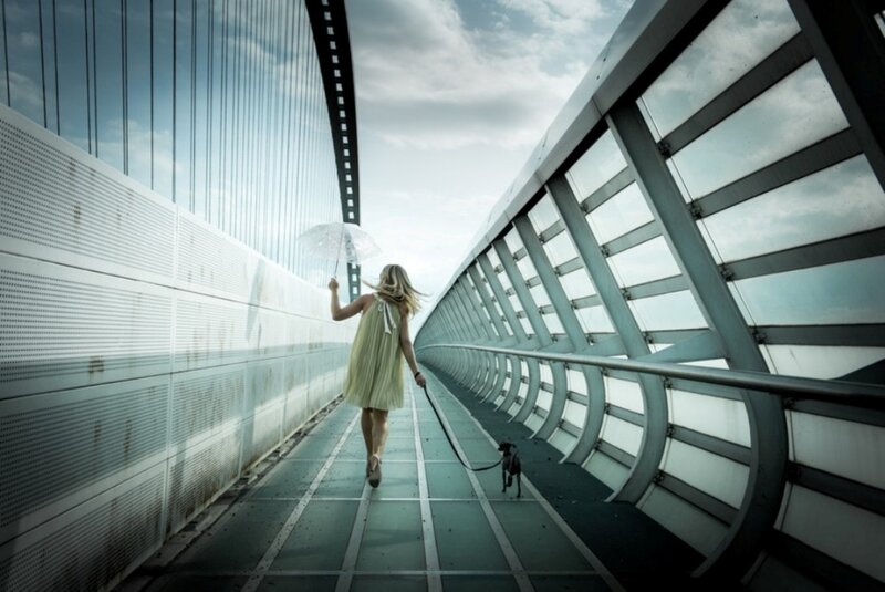 Woman Walking Dog — Gray, Dramatic