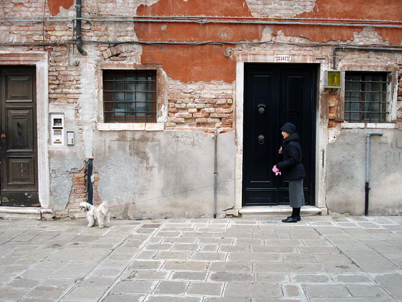 Woman Walking Dog — Gray