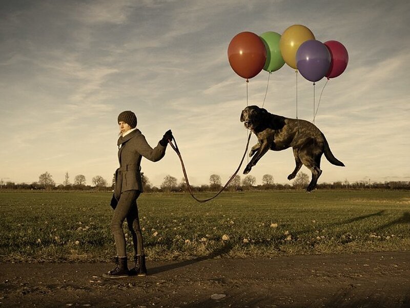Woman Walking Dog — Green
