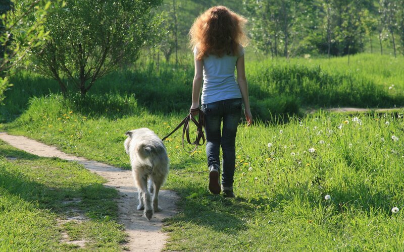 Woman walking dog in park