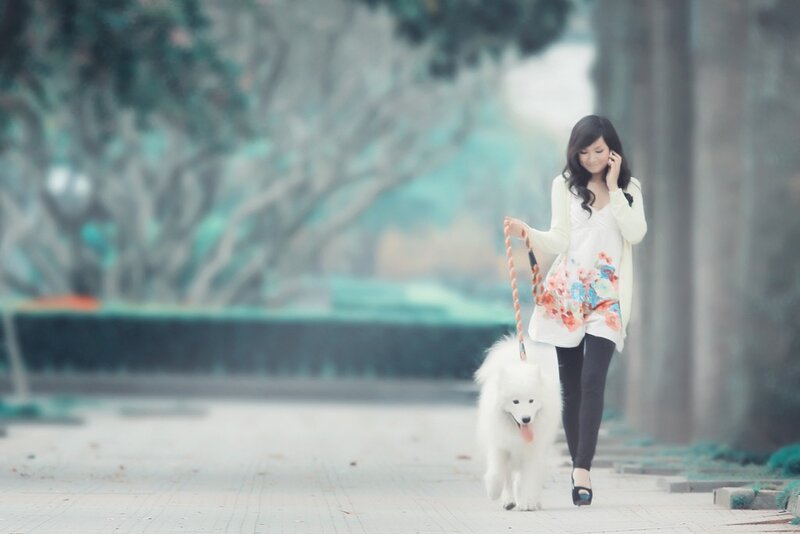Woman walking dog in park
