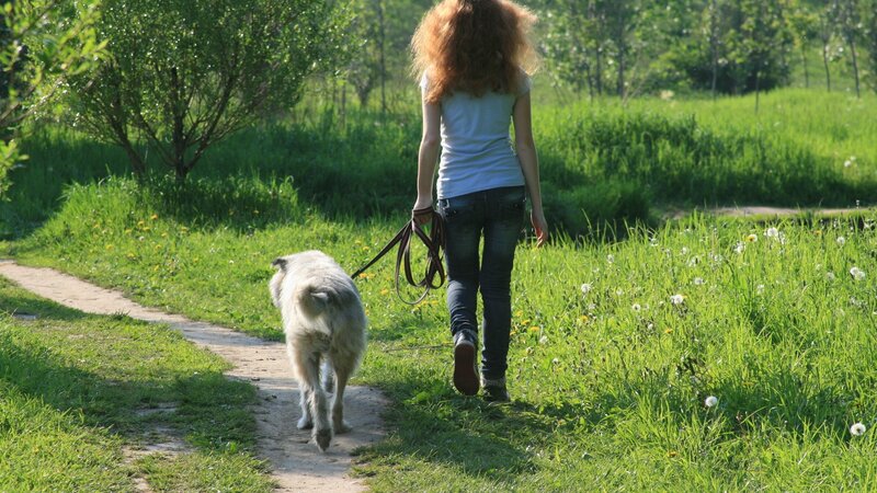 Woman walking dog in park