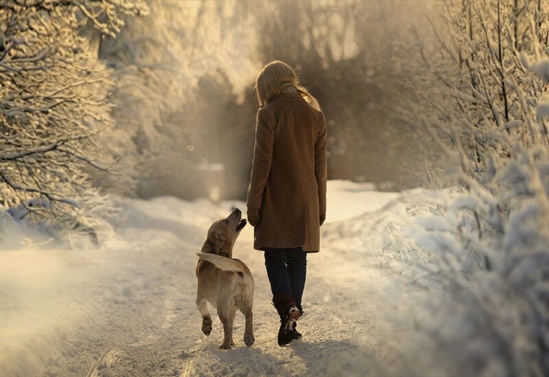 Woman Walking Dog in Snow