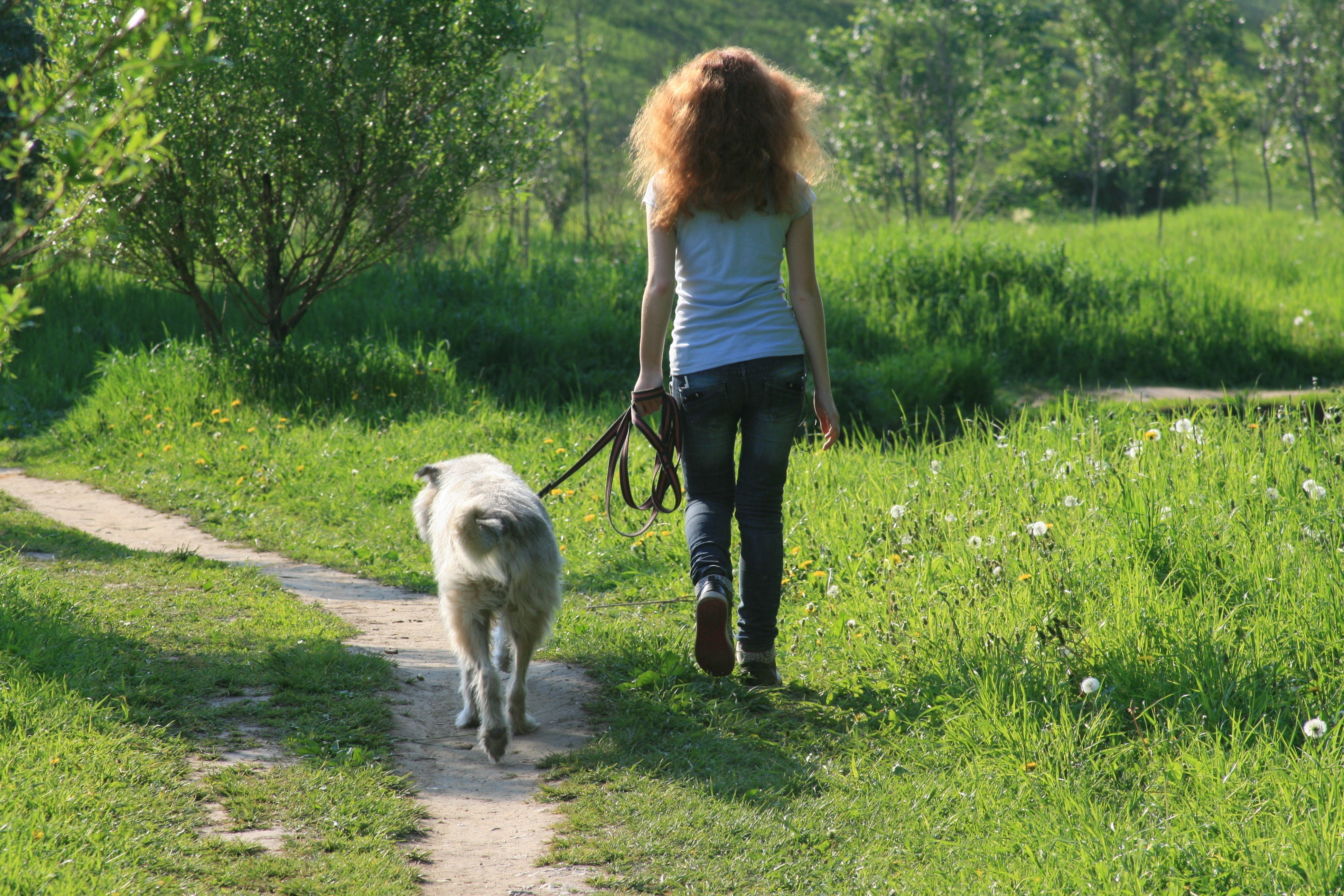 woman walking dog on path