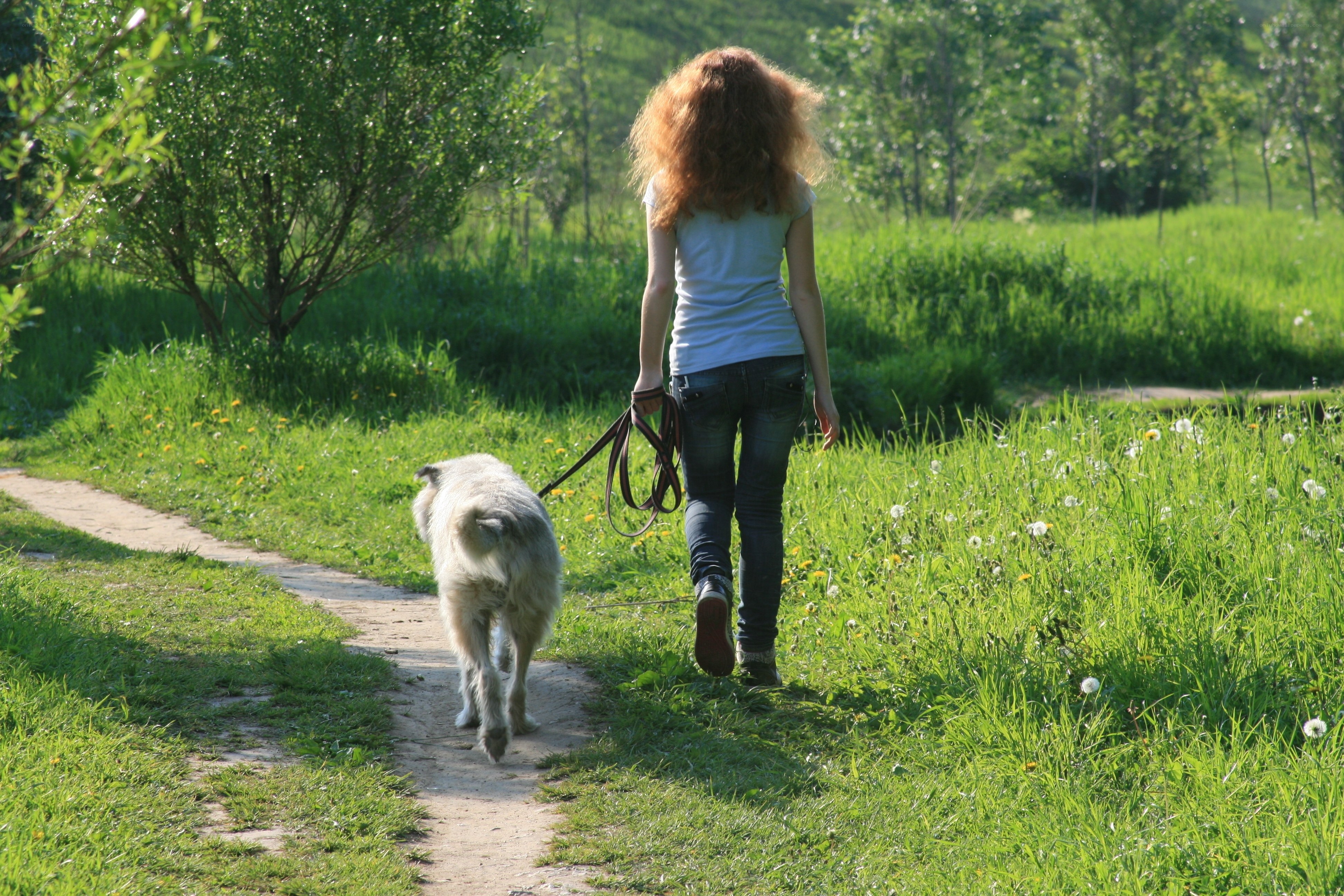 Woman walking dog on path