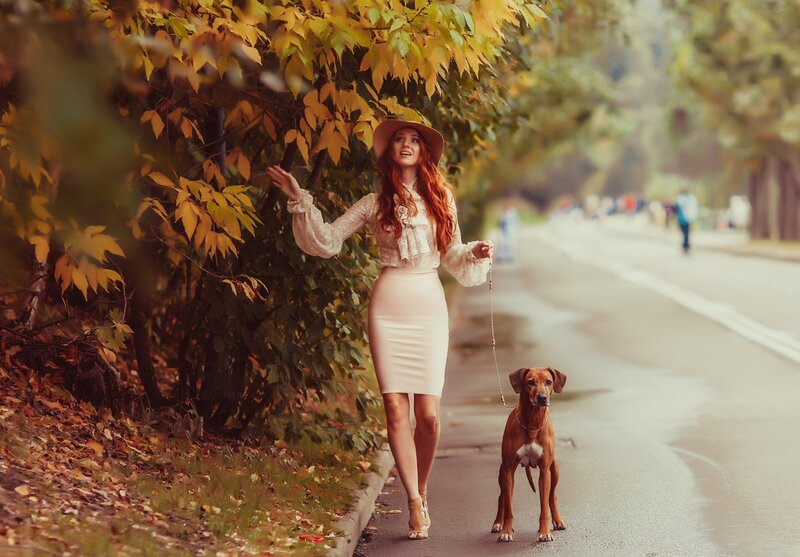 Woman Walking Dog — Yellow, Serene