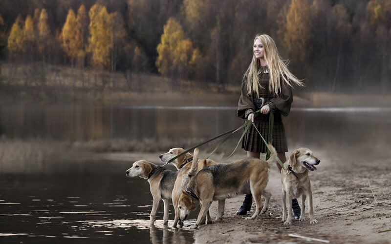 Woman Walking Dogs — Brown