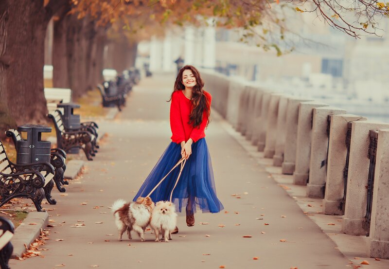 Woman Walking Dogs — Red, Serene