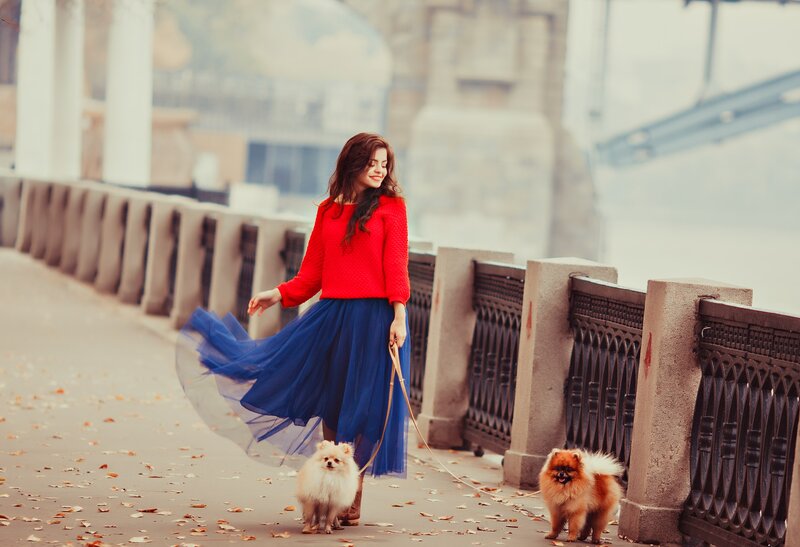 Woman Walking Dogs — Red
