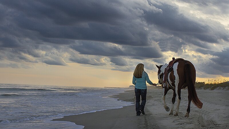 Woman Walking Horse — Gray