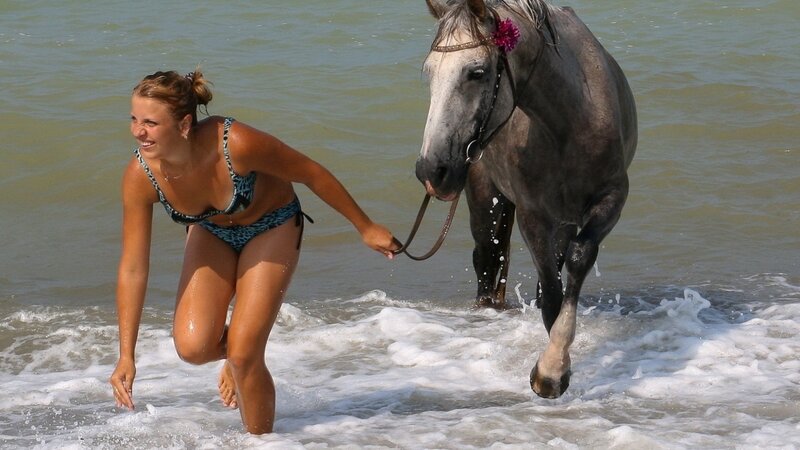 Woman walking horse in ocean