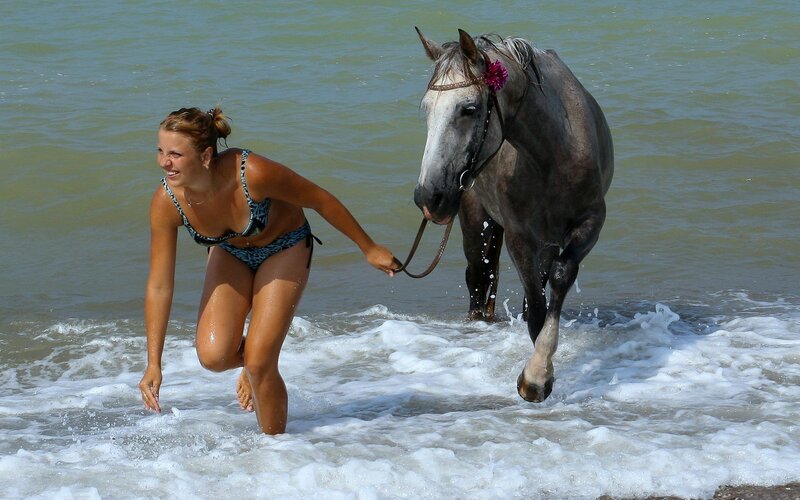 Woman walking horse in ocean