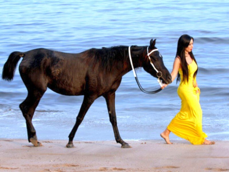 Woman walking horse on beach