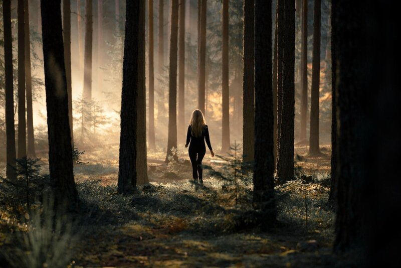 Woman Walking in Forest — Brown, Serene