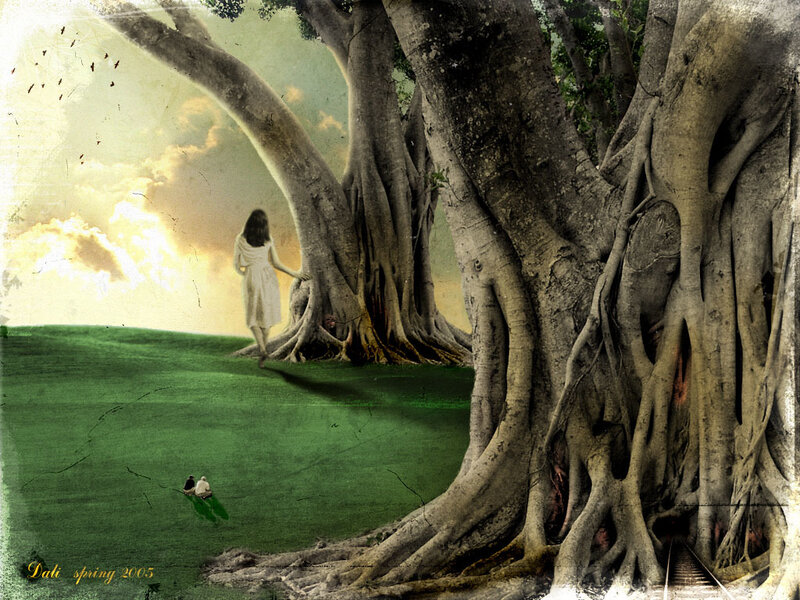 woman walking near giant tree